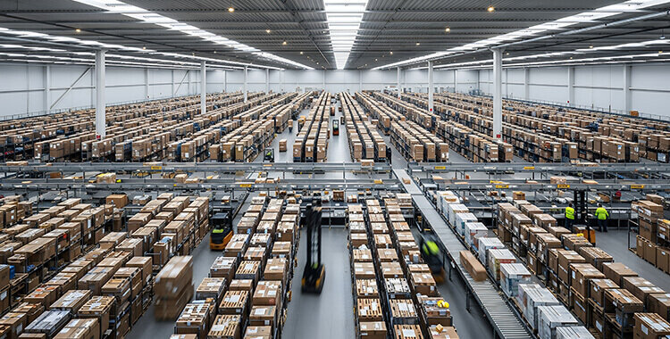 選果場の「段ボール組み立て」を自動化して作業効率を大幅に改善する方法：繁忙期の人手不足を解消