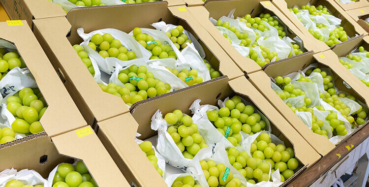 農協の選果場で負荷が高い梱包業務の改善のコツは自動化にあり