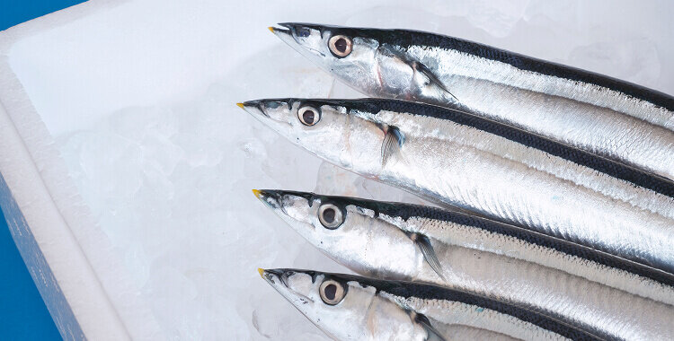 魚の梱包資材の選択肢～発泡スチロールと耐水性段ボールの特徴
